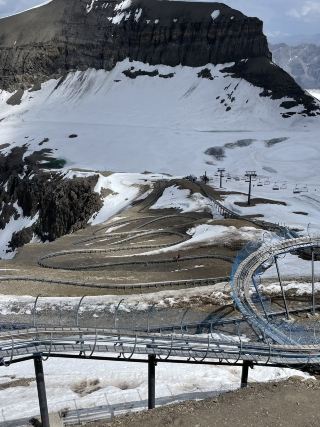 리뷰: 알파인 코스터 - 스릴 넘치는 놀이기구!