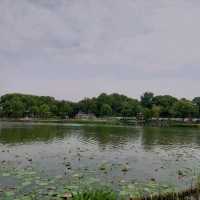 Nice parks with lakes