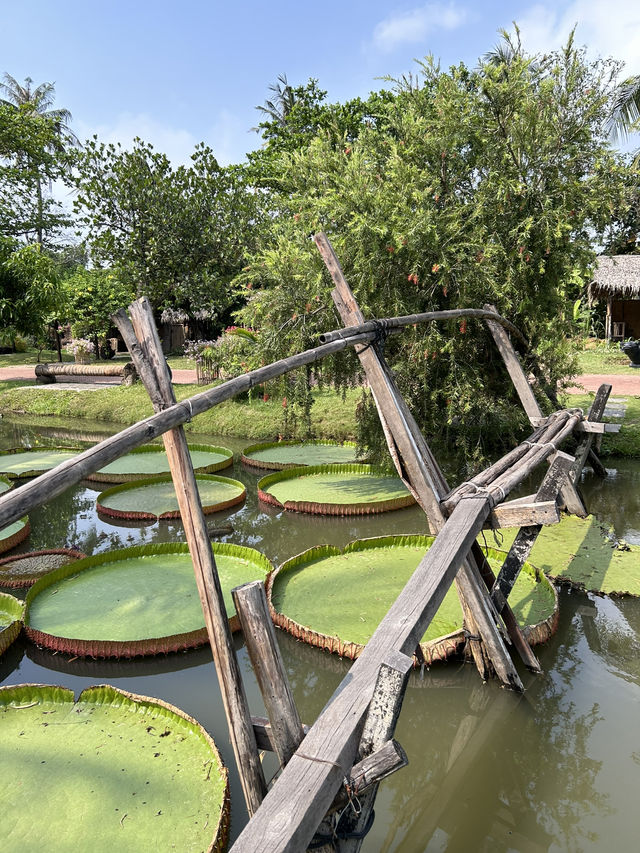 Here I felt myself as Thumbelina 🌿 Bình Quới Tourist Village