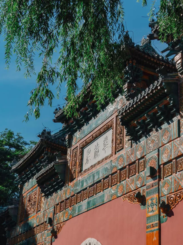 Lotus, Pagodas, and a Whisper of Imperial China — A Day in Beihai Park
