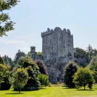 The best way to soak up the rare Irish sun 😎🇮🇪
