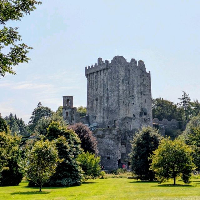 The best way to soak up the rare Irish sun 😎🇮🇪 The best way to soak up the rare Irish sun 😎🇮🇪