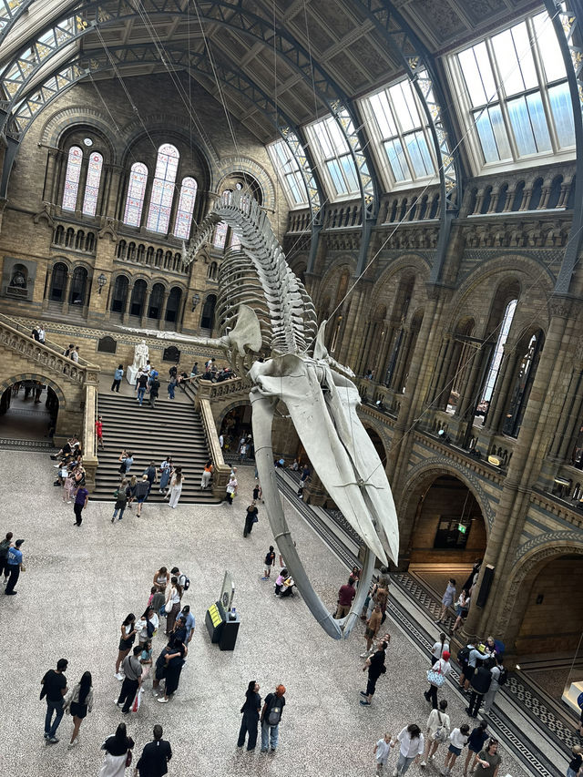 The National History Museum - London 