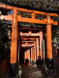 Exploring Kyoto’s spiritual heart was an absolute highlight!