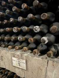 🚗 Driving Through a City of Wine: The Marvel of Mileștii Mici