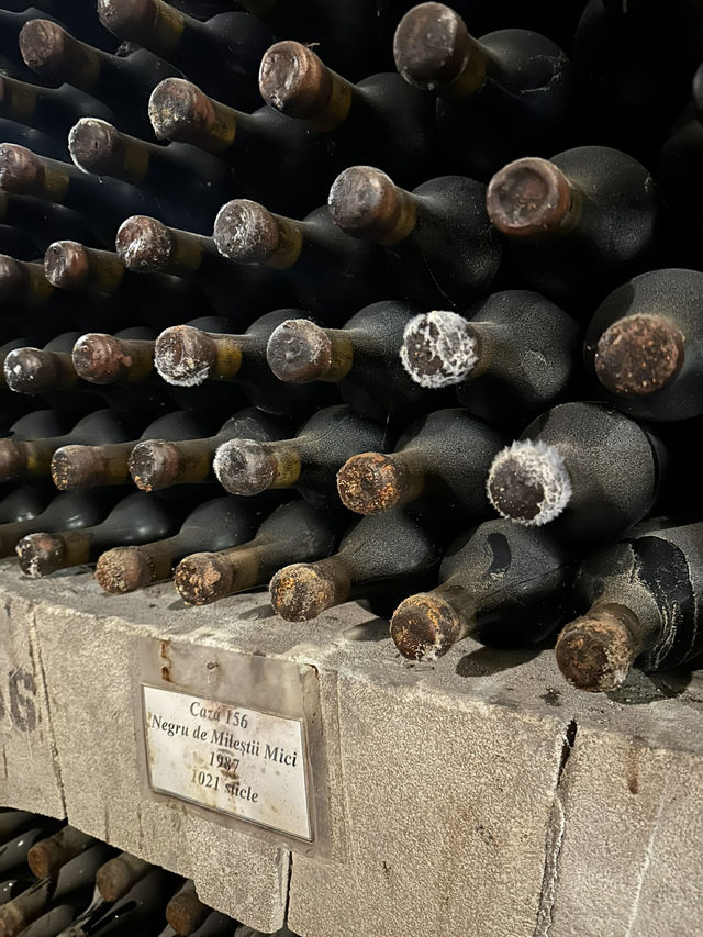 🚗 Driving Through a City of Wine: The Marvel of Mileștii Mici