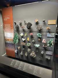 Exploring New York City: American Museum of Natural History & Times Square
