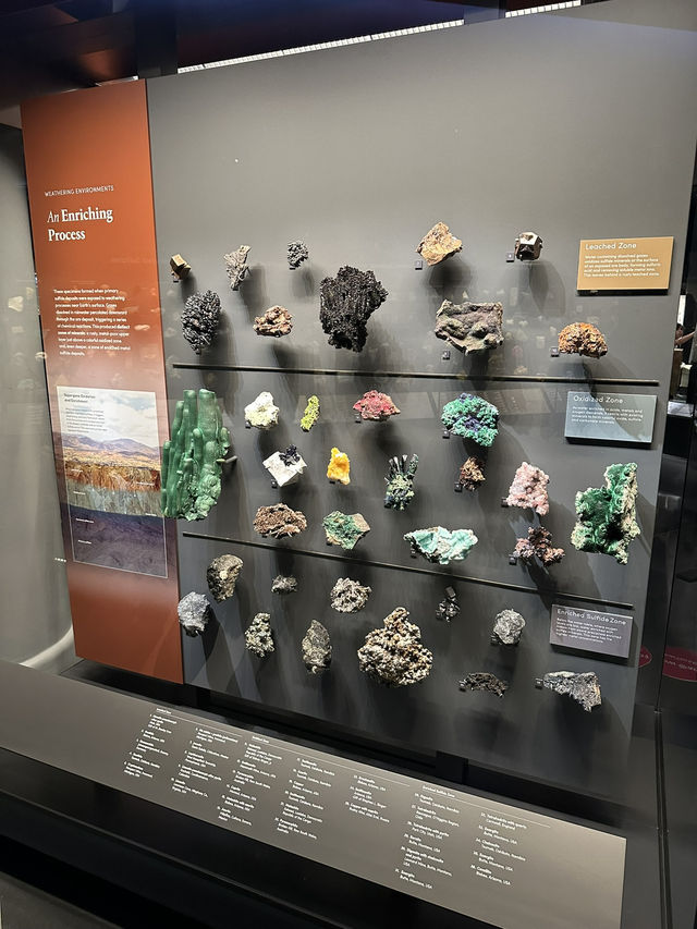 Exploring New York City: American Museum of Natural History & Times Square