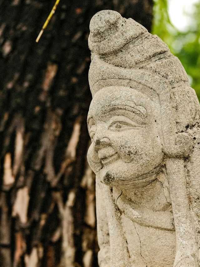 🌳Xi’an Parks: Serenity Amid Ancient City Walls 🏯✨