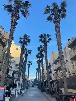 부기바, 몰타를 탐험하세요: 꼭 해야 할 일들!