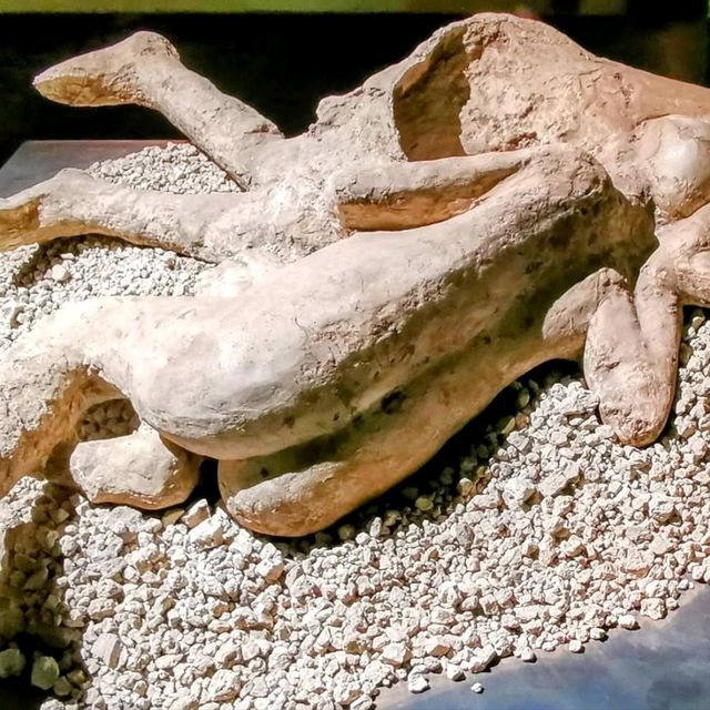 Mount Vesuvius Erupted in 79 AD, Burying Pompeii in Ash for 1,700 Years