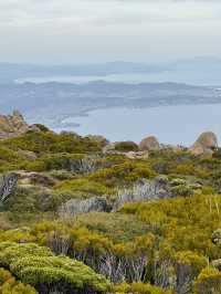 【オーストラリア・ホバート】雲の上から眺める街「マウント・ウェリントン(kunanyi)」🏔️🌤️✨