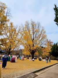 Seoul in Autumn: A Kaleidoscope of Colors 🇰🇷  