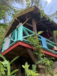 🎄🌟 Christmas at the Eden Project 🌟🎄