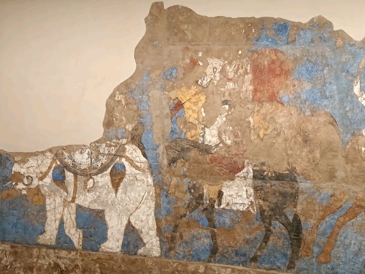 1300年の時を超えた奇跡——サマルカンドのアフラシヤブ博物館徹底ガイド