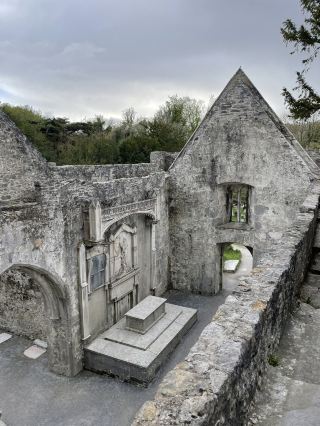 Muckross Abbey: a fascinating ruin feels like a secret garden