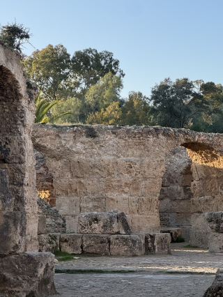 🌿 A Month in Tunisia, Slow Living Guide 🇹🇳