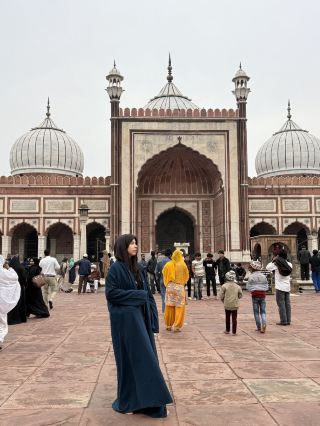 DELHI 🇮🇳 Main places of Old and New Delhi