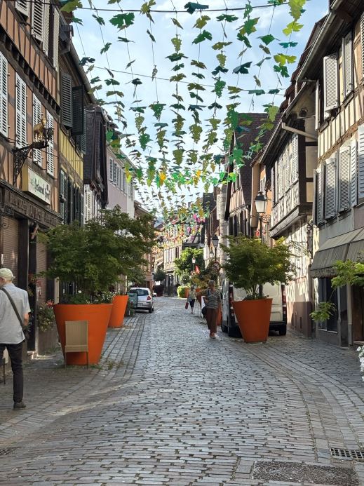 🇫🇷🇩🇪 Alsace & Black Forest Road Trip | Trip.com Strasbourg