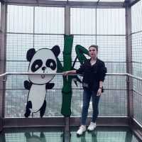 Enjoy the view of Chengdu🤩Tianfu Panda Tower