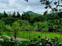 Hilltop Haven in Bao'an 🌳🌸🏞️
