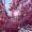 Jasper_2_Winterbourne_17