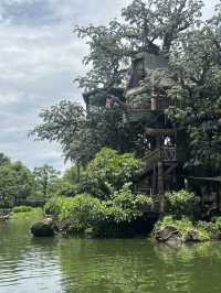Adventureland at HK Disneyland🌿🌱🪵🌳