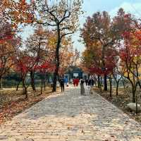 蘇州の紅葉の名所といえば「天平山」