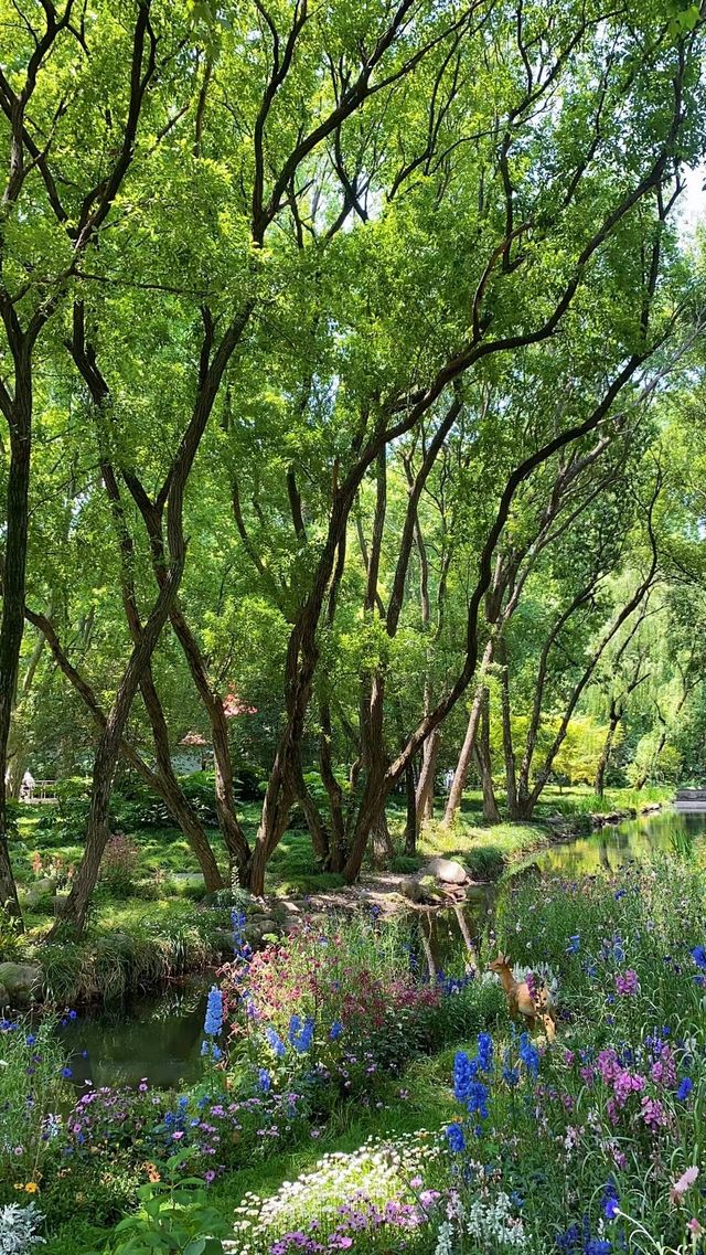 Forest wonderland