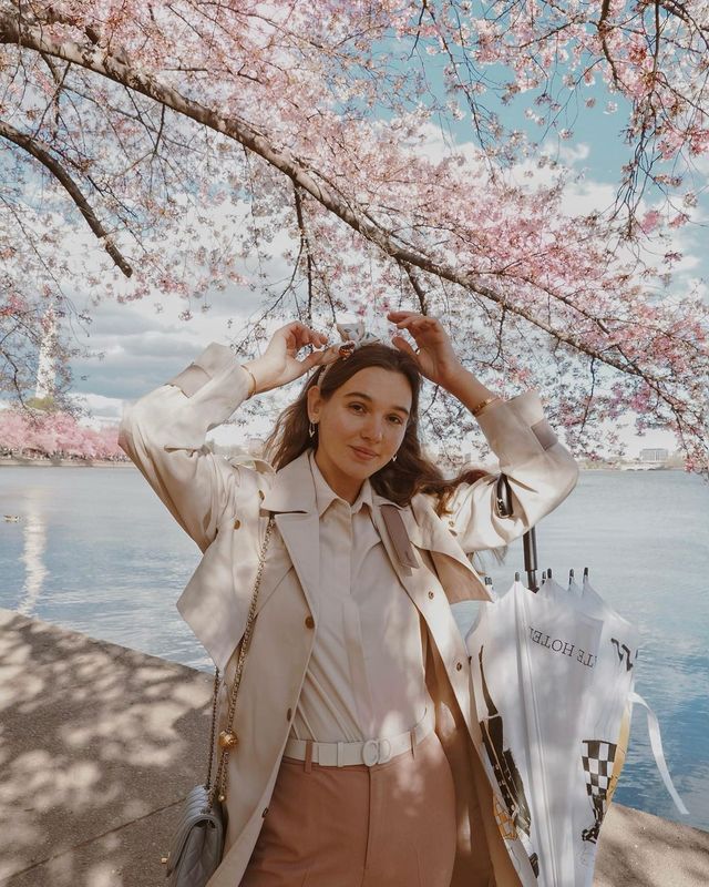 Burger Bliss and Cherry Blossoms in DC