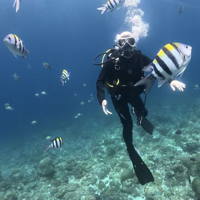 Down in the deep blue sea, my first Scuba