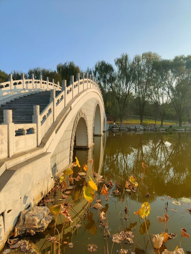 擁有森林棧道的天津免費公園