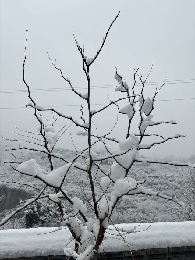 雲台山景區裡的這家民宿/不住一晚/總有一些不完！