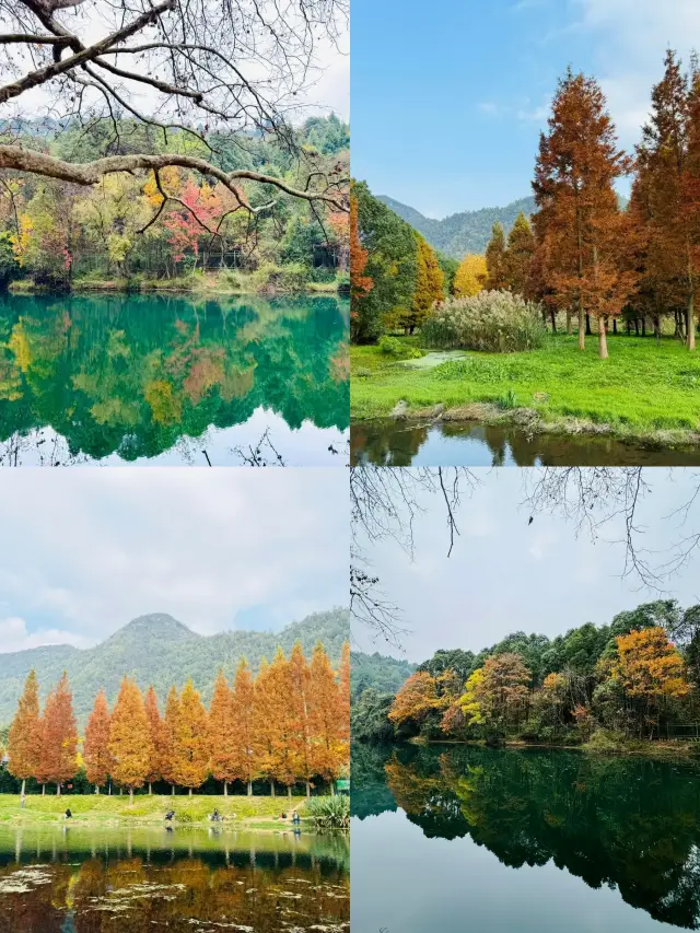 Guizhou‖The ten-mile river beach in winter is just like the colorful autumn