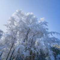 湖南霧凇雪原遊攻略～