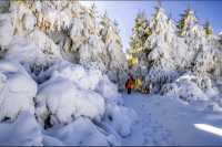 這個冬天一定要去一趟貴州玉舍森林公園看一場浪漫的雪!