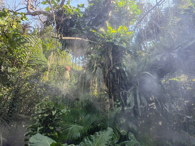 廈門園林植物園