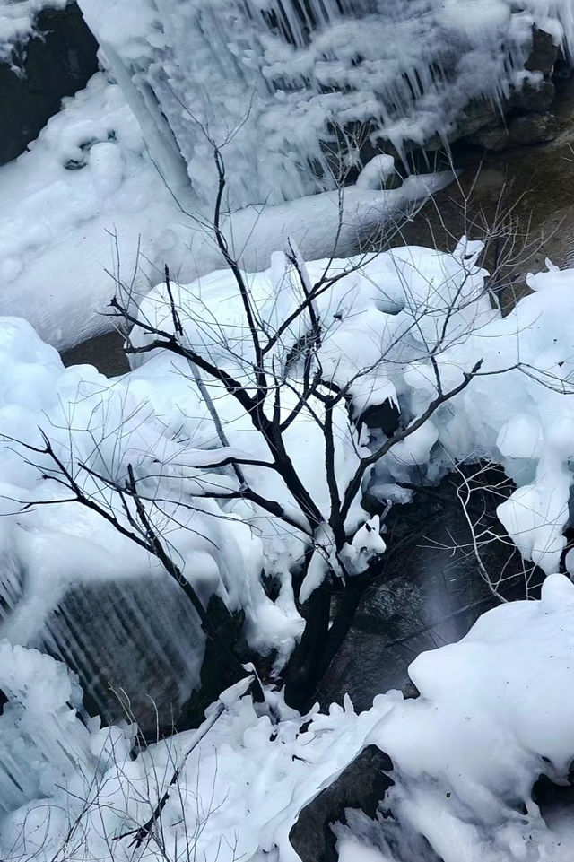 雲台山風景名勝區絕對可以為河南旅遊加大分