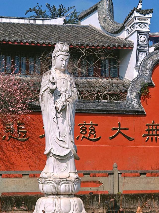 在福州｜今年春節一定要去林陽寺賞梅祈福