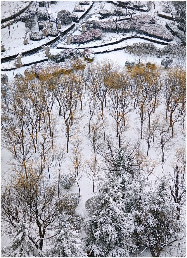 《2024年的第一場雪之東夷文化園》