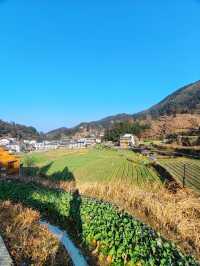 極其小眾旅行地，我們相約雲端上的村落