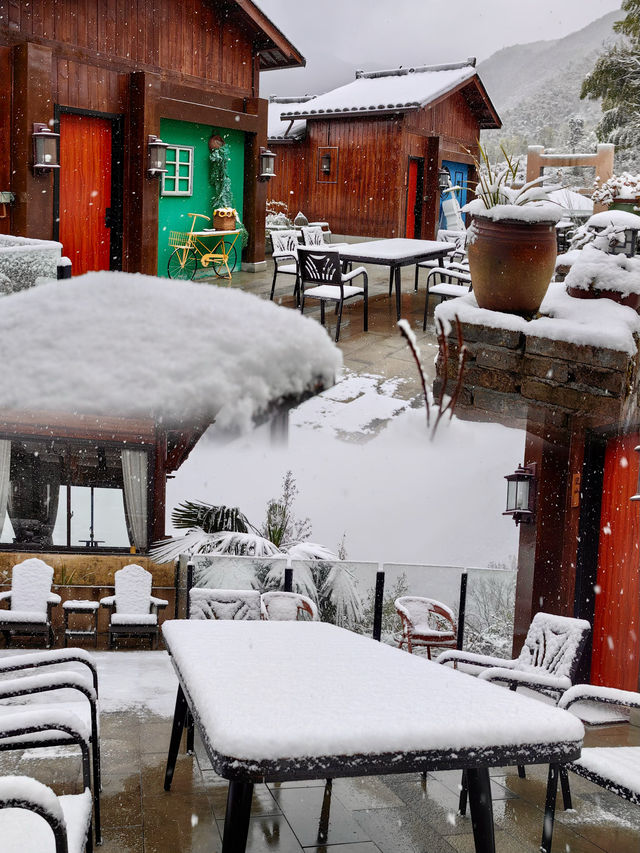 2024年的第一場雪，我在雨印茶坪看的