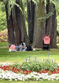 阿爾伯特公園 維多利亞風格的城市公園 奧克蘭