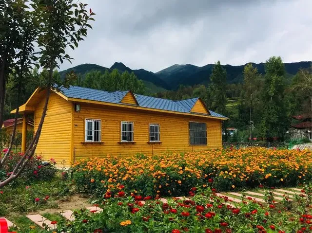 一起相約七里花海