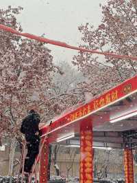 西安這裡年味也太濃了吧