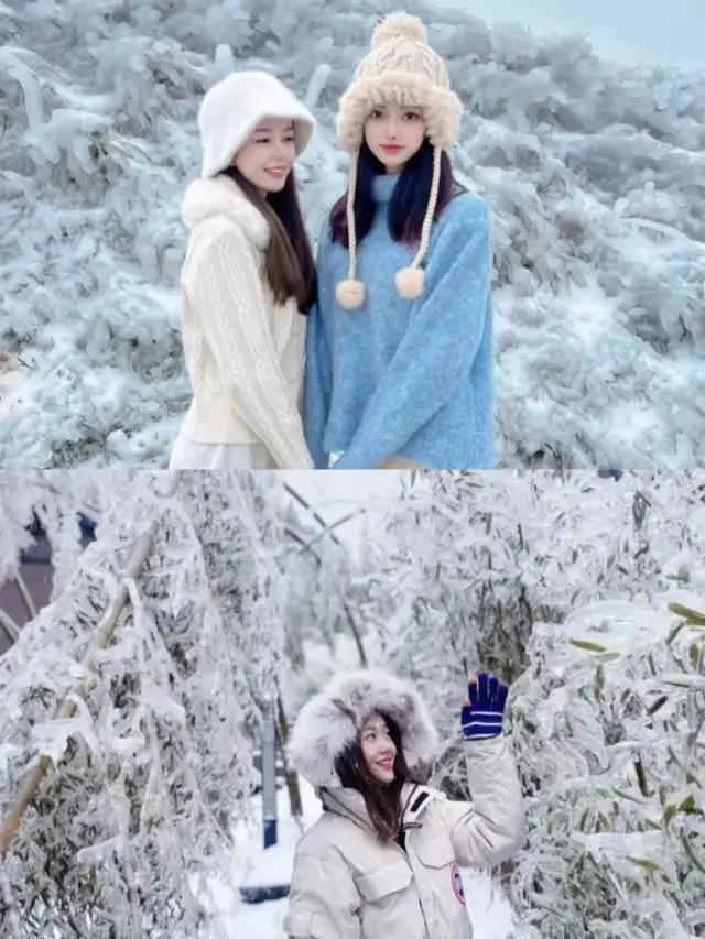 Harbin, Guangdong, it's holiday time, so come to Yunbing Mountain to see the snow