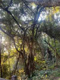 探尋少數民族文化｜神秘的原始宗教聖地——龍摩爺