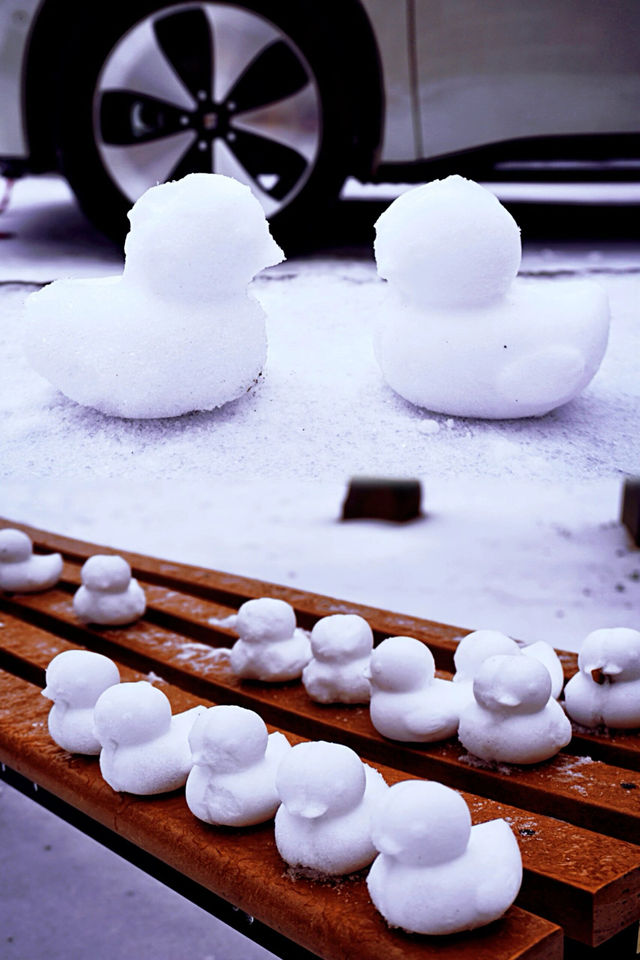 旅行攻略｜在郯子公園欣賞雪後美景