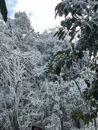 廣東又降溫了！這不得抓住最後的機會去看雪！