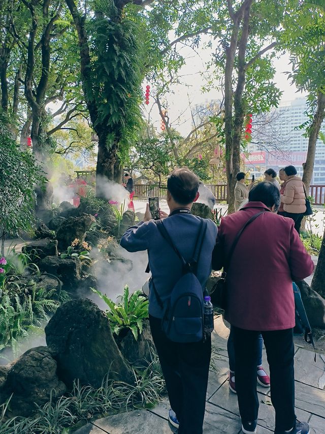 春節去了趟於山蘭花展，以為到了仙境